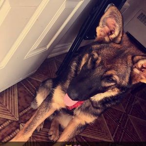 Meet your Posher, Daniela